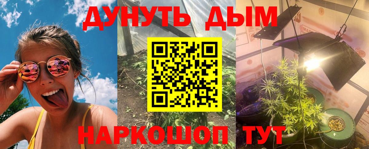Каннабис план  Вход с VPN  Канабис семена  Каннабис Amnesia  Бошки марихуана AK-47  Зеленогорск 